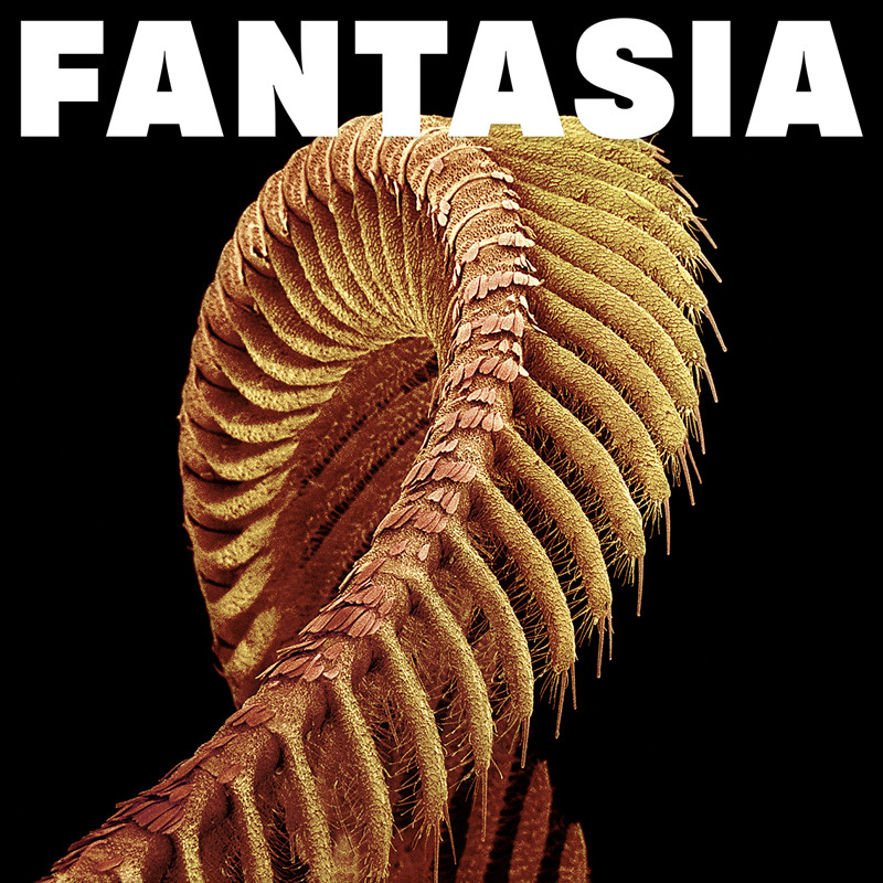 Fantasia cover